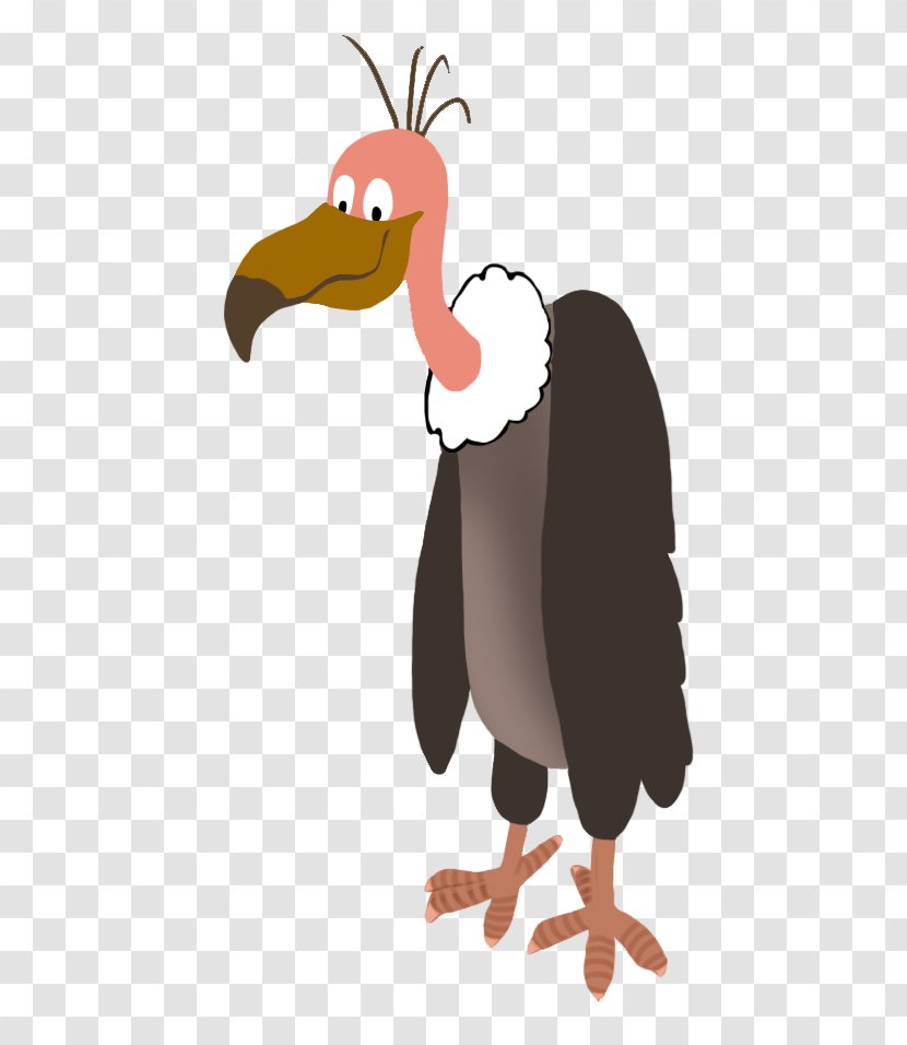 Bird Of Prey Vulture Penguin Clip Art - Beak - Drawing Hair Transparent PNG