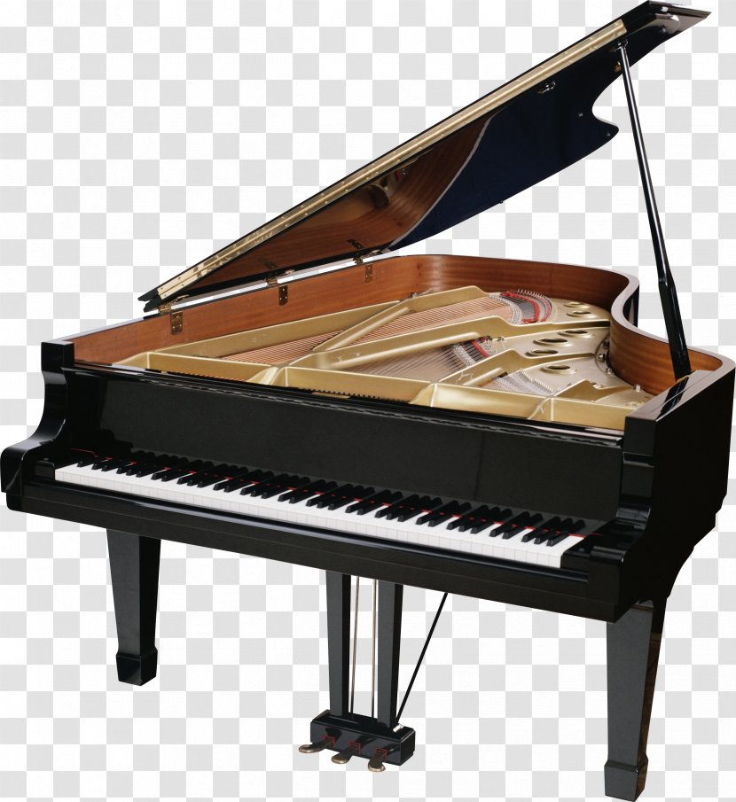 Grand Piano Stock Photography Keyboard - Tree - Image Transparent PNG