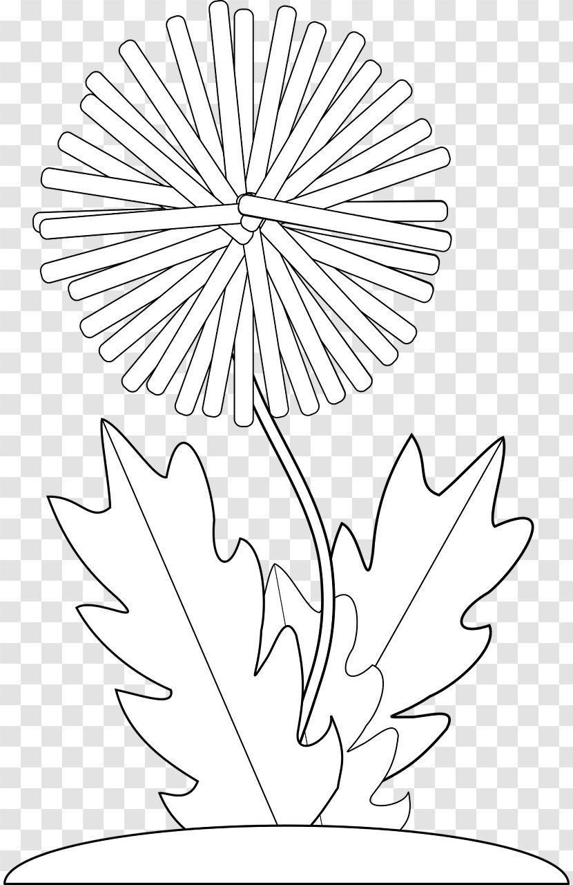 Common Dandelion Drawing - Monochrome - In The Wind Transparent PNG