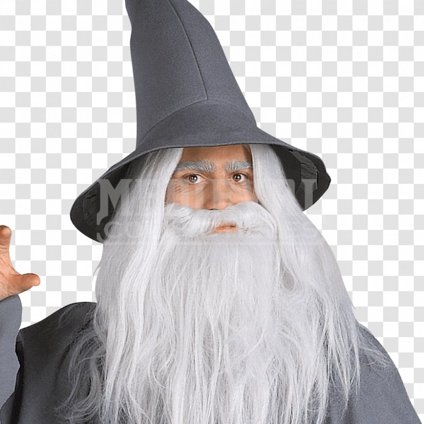 Gandalf The Lord Of Rings: Fellowship Ring Frodo Baggins Costume Hobbit Transparent PNG