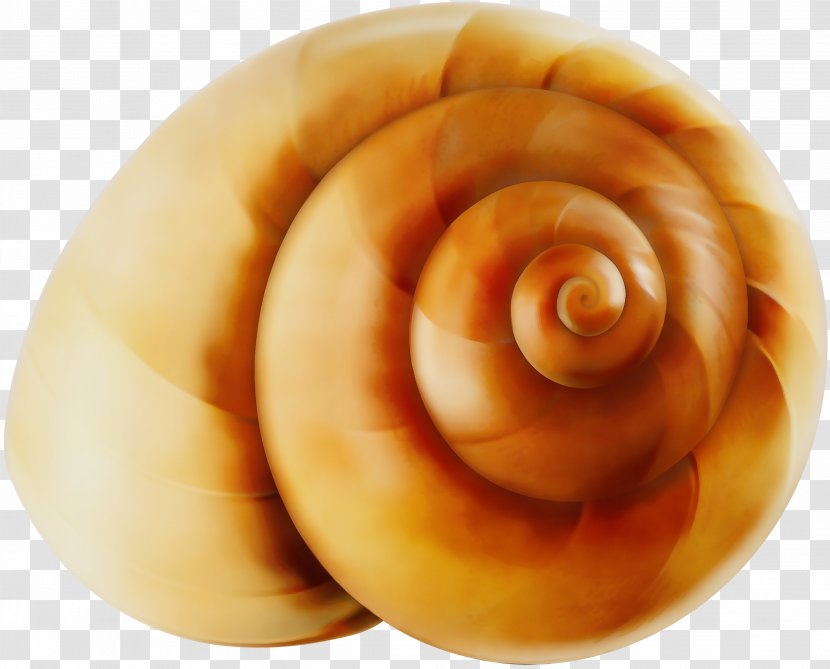 Sea Snail Food Spiral Dish Cuisine - Baked Goods Conch Transparent PNG