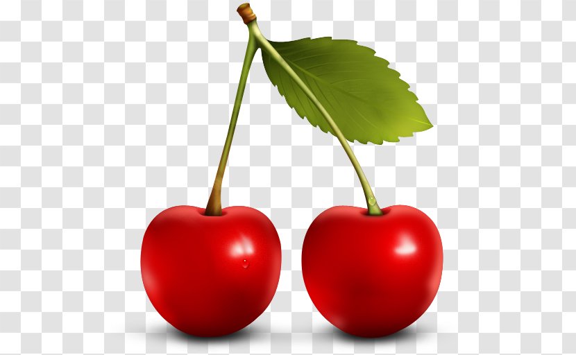 Cherry Fruit Berry ICO Icon - Superfood - Red Image, Free Download Transparent PNG