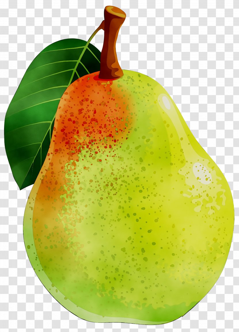 Pear Superfood Accessory Fruit - Food Transparent PNG