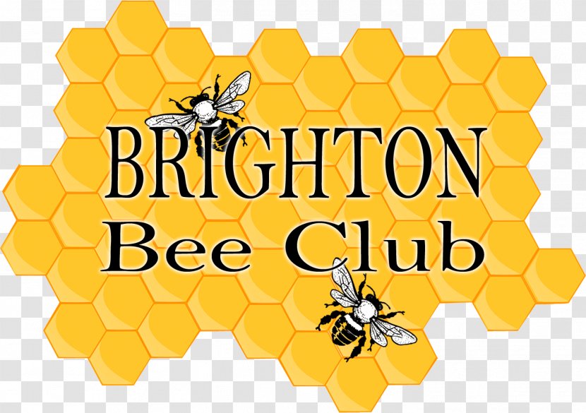 Honey Bee Honeycomb In Da Club Transparent PNG