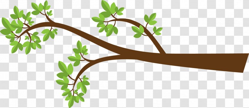 Branch Tree Drawing Clip Art - Leaf Transparent PNG