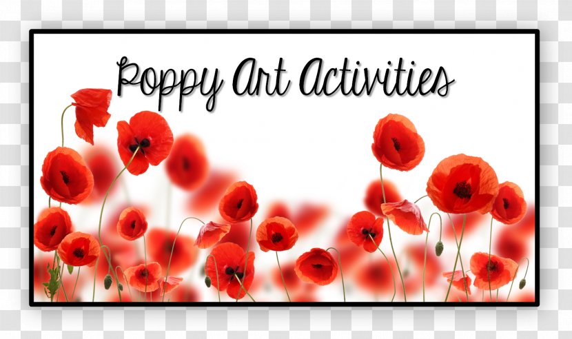 White Poppy Flower Canvas Print Art - Field Transparent PNG