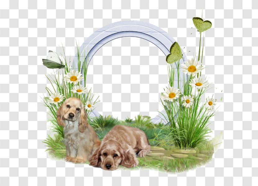 Puppy Dog Breed - Swf - Dogs And Plants White Border Transparent PNG