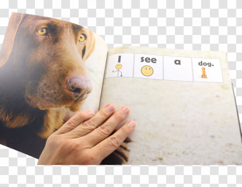 Dog Breed Product Snout Transparent PNG