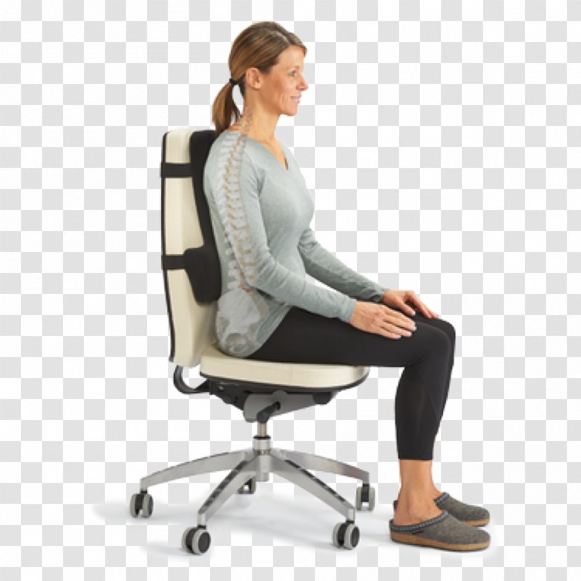 Lumbar Vertebrae Sitting Human Back Vertebral Column - Neutral Spine - Office Chair Transparent PNG