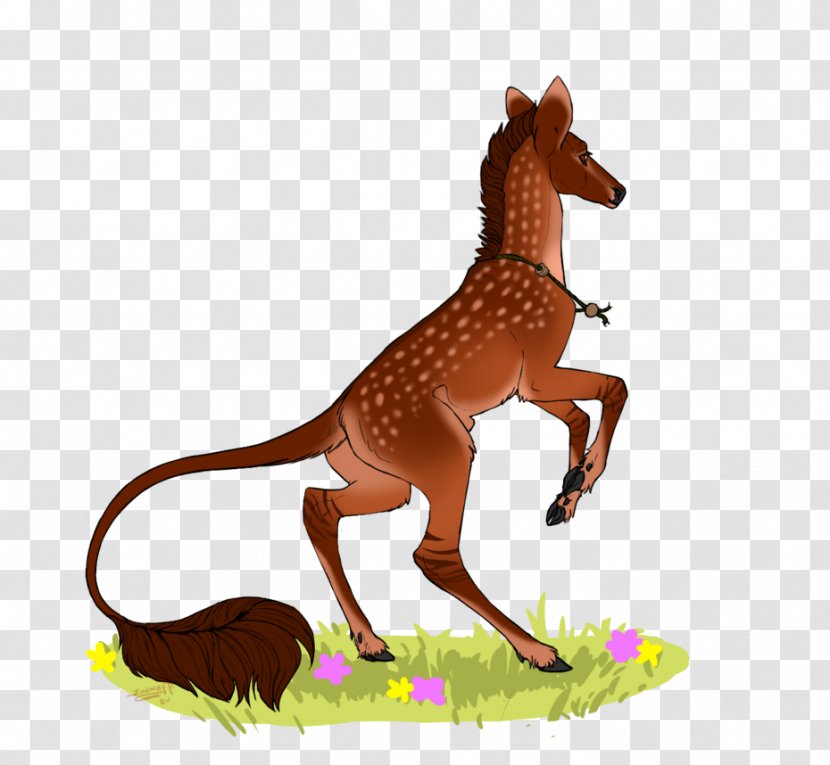 Giraffe Mustang Freikörperkultur Animal Wildlife - Horse Transparent PNG