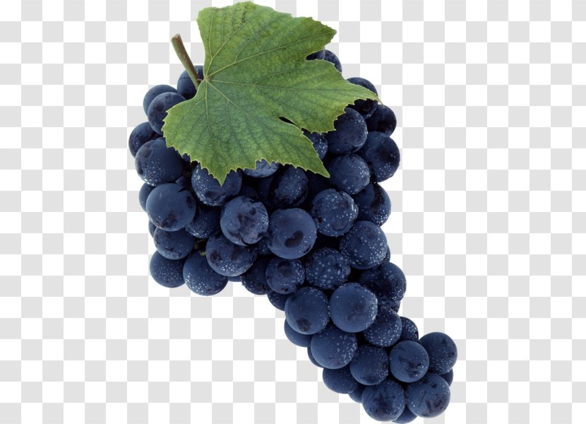 Merlot Wine Grape Sultana - Food Transparent PNG
