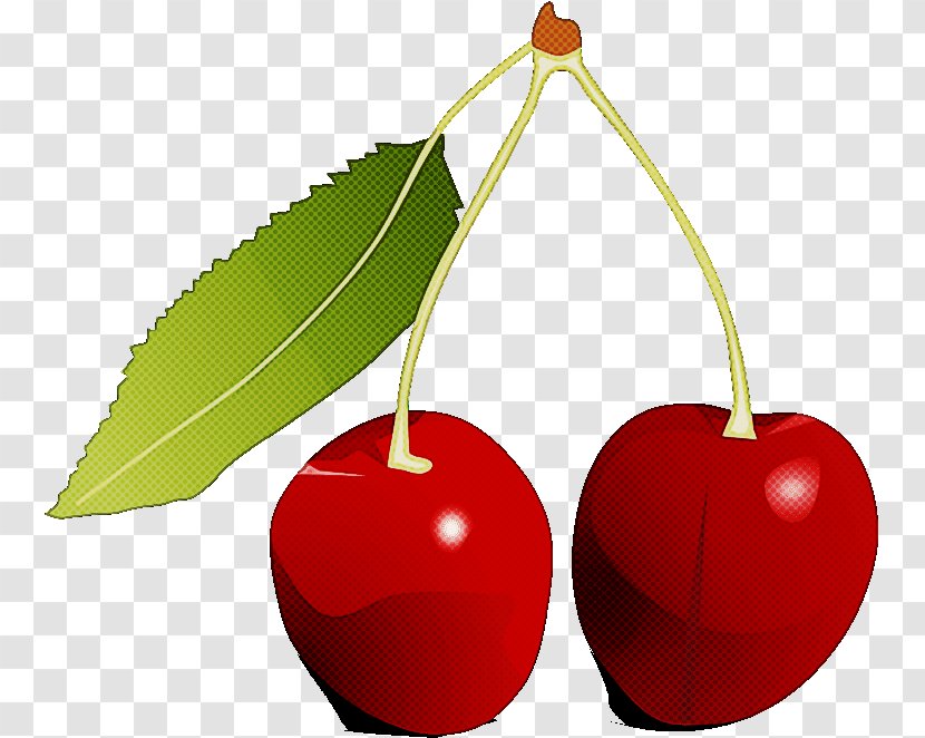 Cherry Plant Fruit Leaf Tree - Flower - Drupe Food Transparent PNG