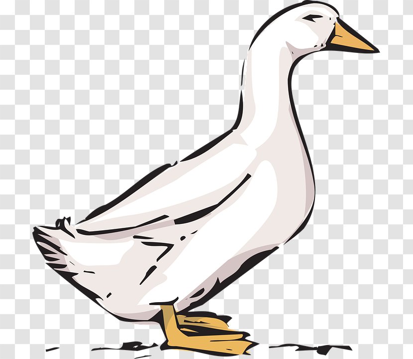 Goose Duck American Pekin Bird Clip Art - Organism Transparent PNG