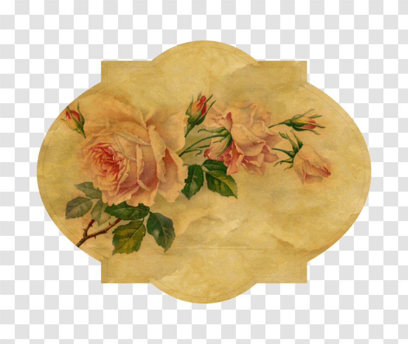 Vintage Clothing Garden Roses Flower - Rose Transparent PNG