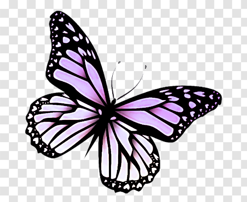 Monarch Butterfly Transparent PNG