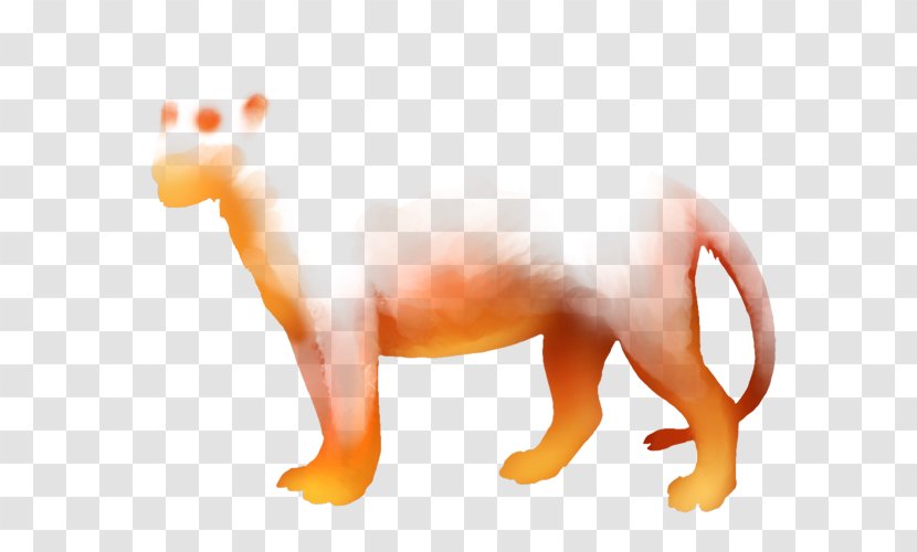 Ferret Cat Dog Canidae Snout - Animal Transparent PNG