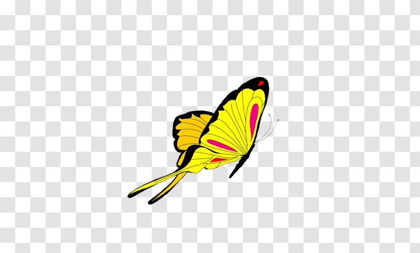 Butterfly Animation Clip Art - Royaltyfree Transparent PNG