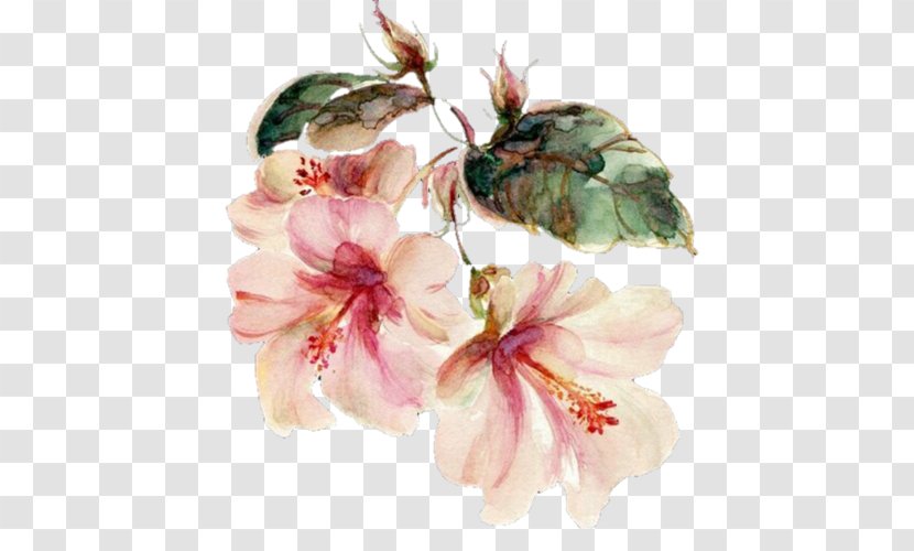 Watercolor Painting Watercolour Flowers Image Floral Design - Malvales Transparent PNG