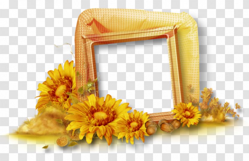 Picture Frames Autumn Clip Art - Cut Flowers - Three-dimensional Border Transparent PNG