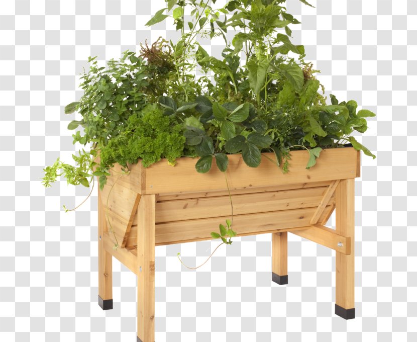 Raised-bed Gardening Patio Container Garden - Houseplant Transparent PNG