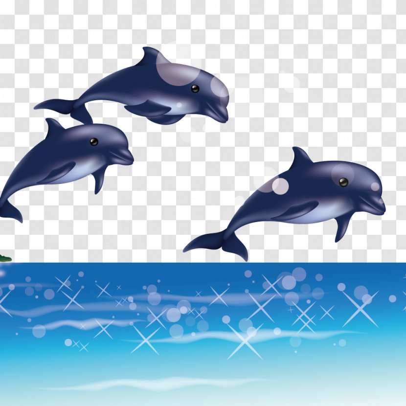 Dolphin Computer File - Marine Biology - Jump Out Of The Sea Transparent PNG