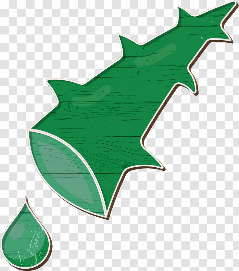 Botanicals Icon Leaf Icon Aloe Icon Transparent PNG