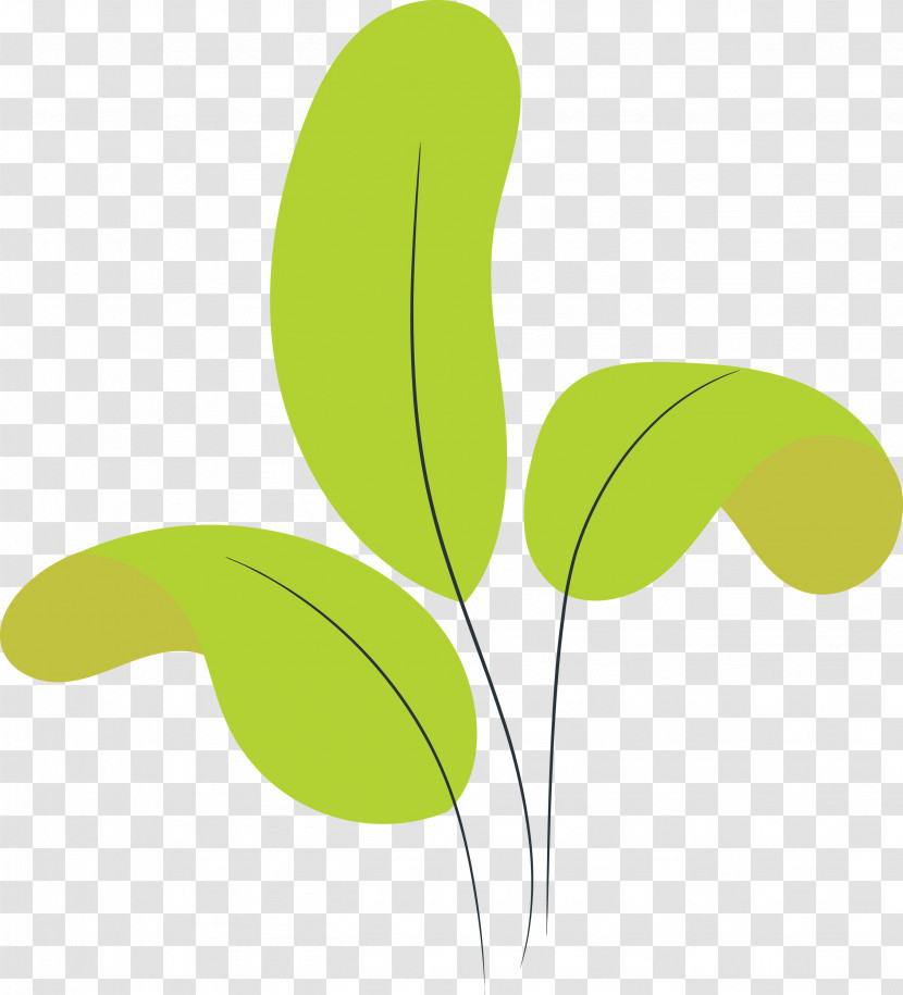 Leaf Plant Stem Green Line Meter Transparent PNG