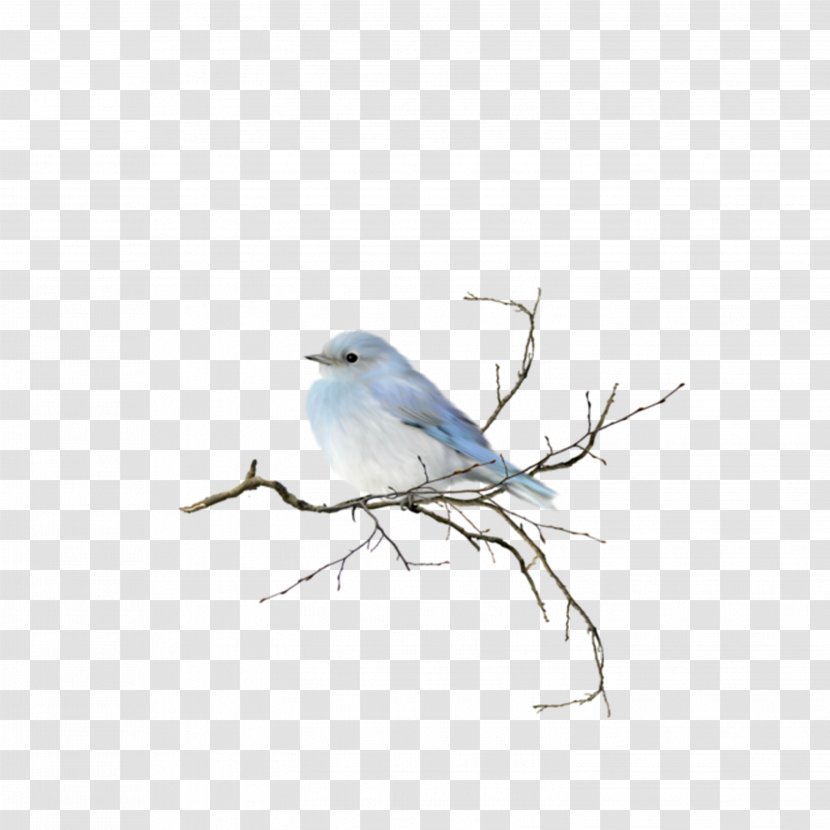 Bird Watercolor Painting Clip Art - Blue Jay Transparent PNG