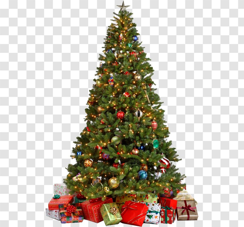 Christmas Tree Gift Ornament - Stock Photography - Day Transparent PNG