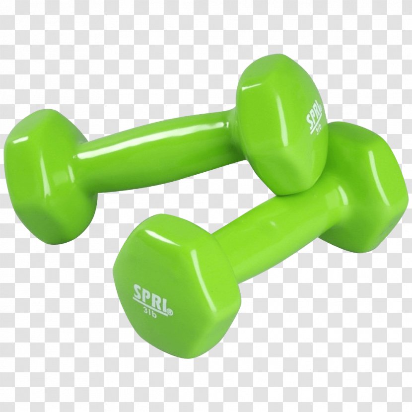 Dumbbell Weight Training Exercise Kettlebell Physical Fitness - Aerobic - Dumbbells Transparent PNG