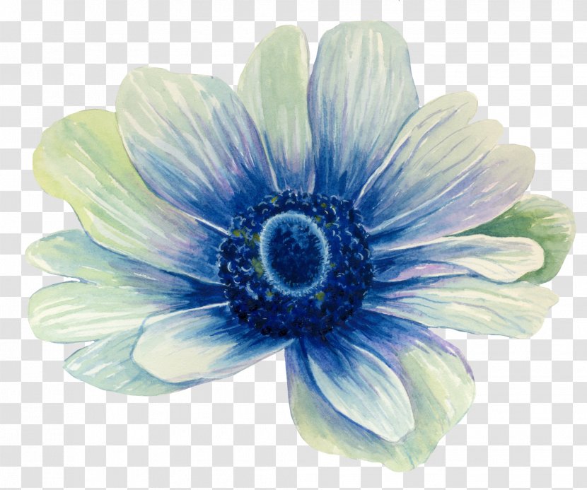 African Family - Gerbera - Daisy Plant Transparent PNG
