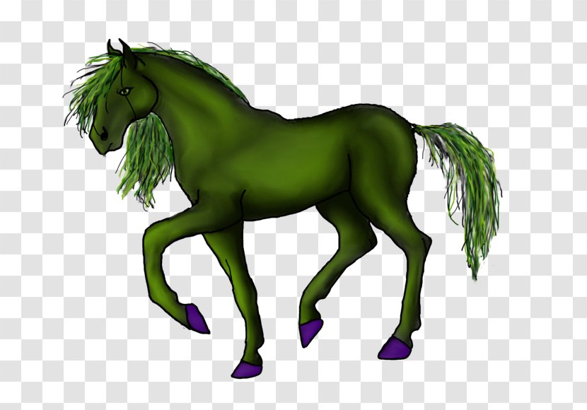 Mustang Foal Stallion Pony Colt - Animal - She Hulk Transparent PNG