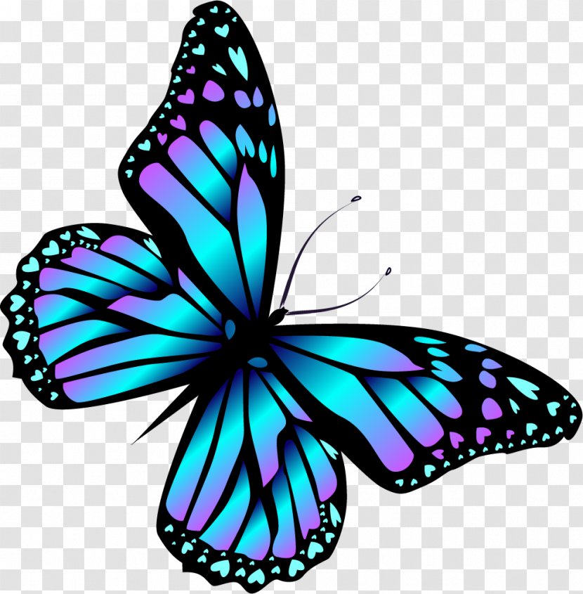 Monarch Butterfly Cartoon Blue Transparent PNG