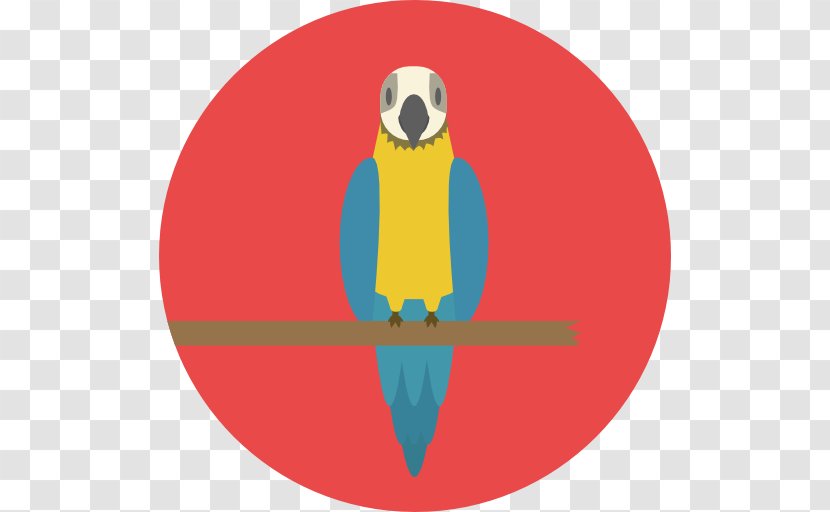 Beak Macaw Logo Font - Pet Bird Transparent PNG