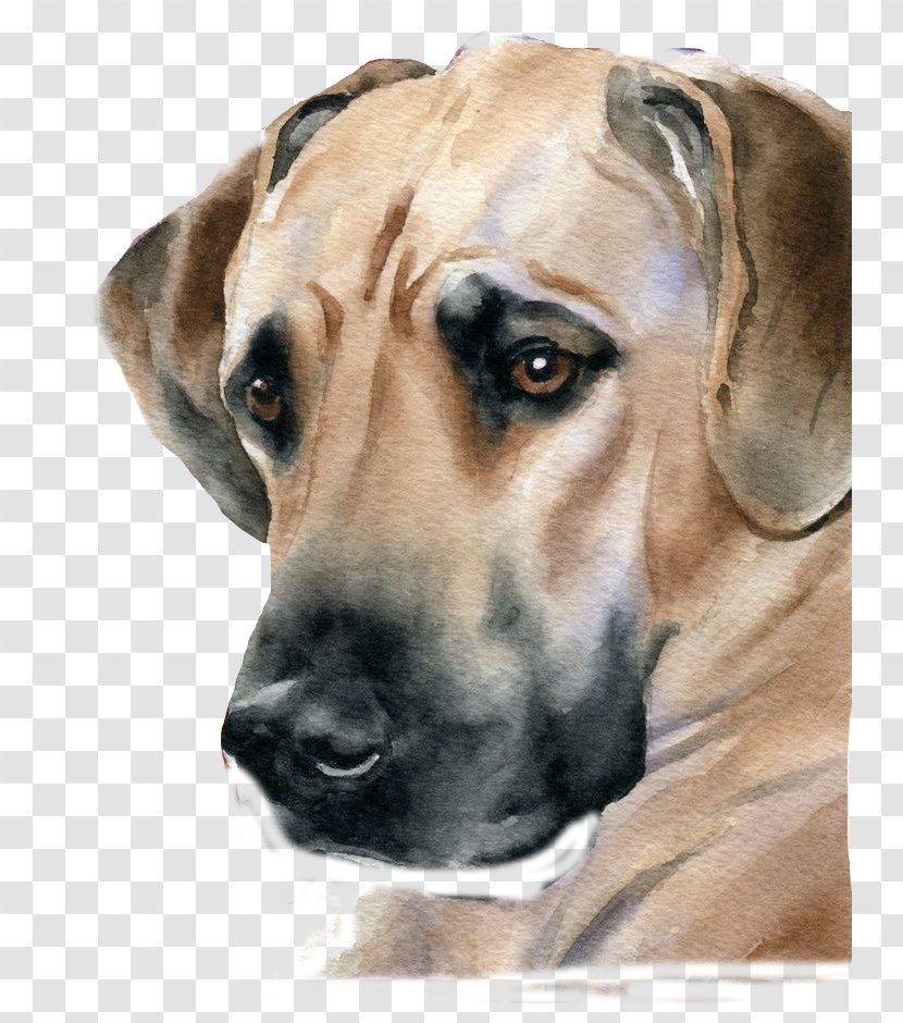 Great Dane Scottish Terrier Puppy Watercolor Painting Portrait - Dog - Big Brown Transparent PNG