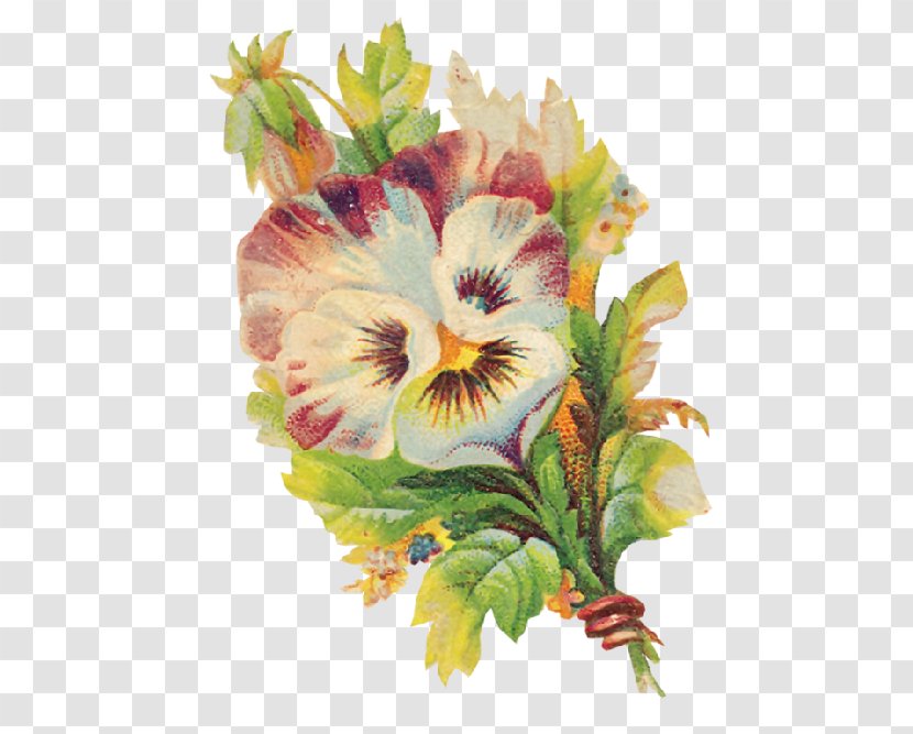 Pansy Watercolor Painting Flower Giclée Clip Art - Malvales Transparent PNG