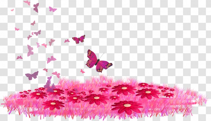 Animation - Butterfly - Invertebrate Transparent PNG