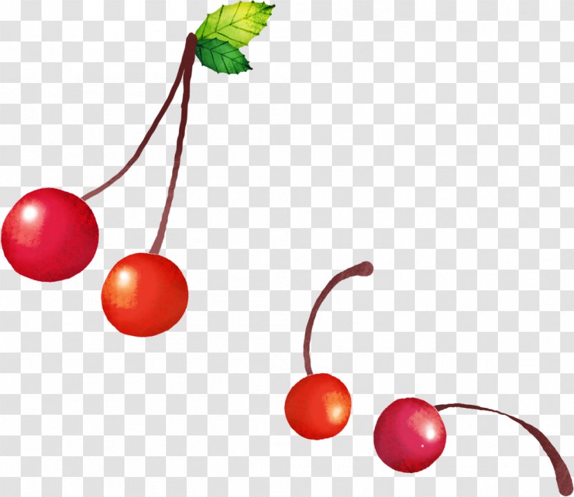 Cherry Fruit - Cerise - Hand-painted Transparent PNG