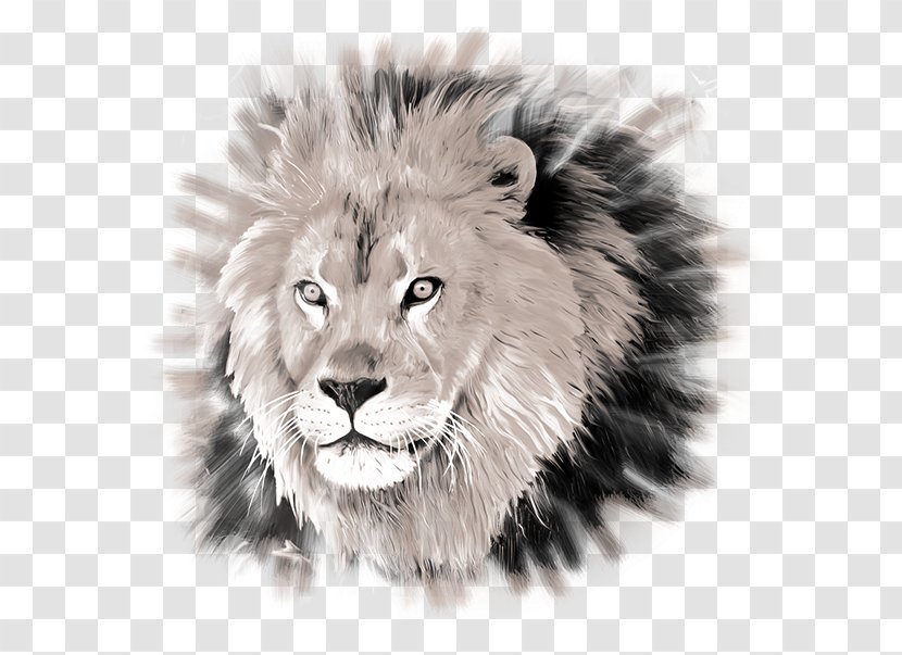 Lion Airline Ticket Hunting Air Charter Airplane - Whiskers Transparent PNG