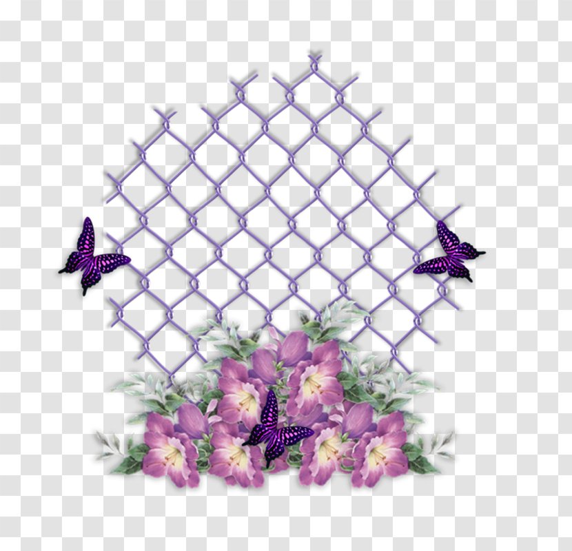 Australia Zoo Petal Floral Design Pattern - Flowering Plant - Violet Rose Transparent PNG