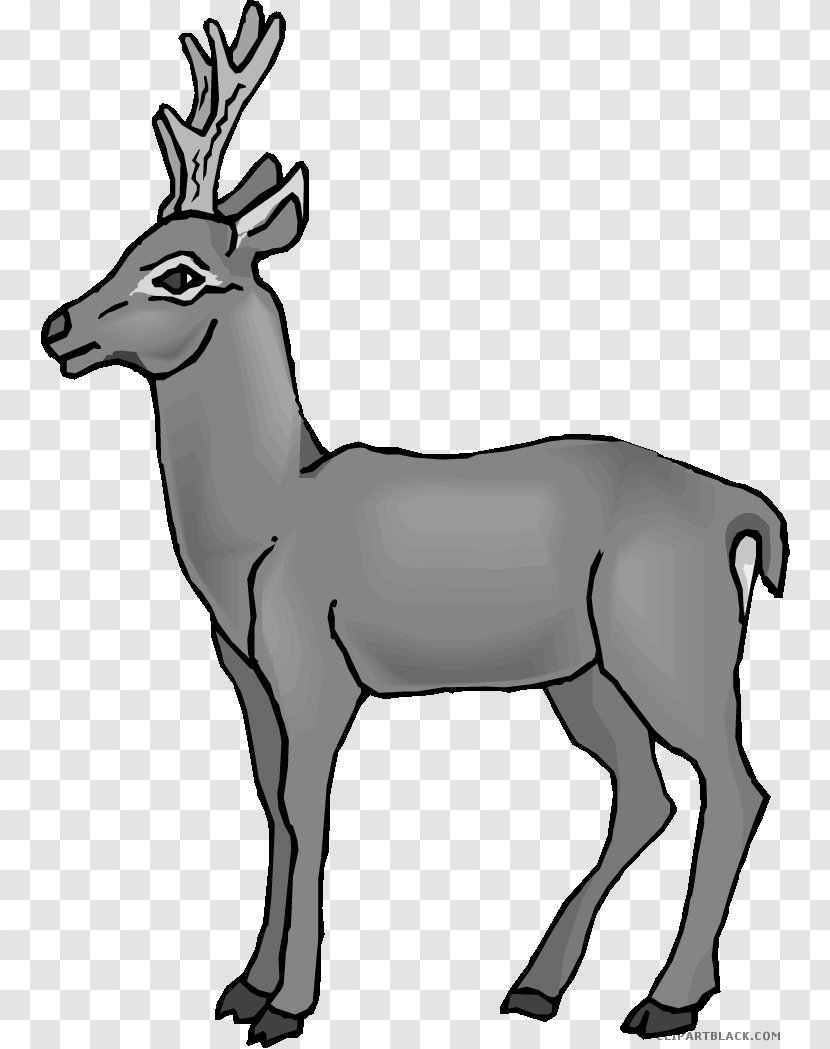 Reindeer Clip Art Image Antler - Tree - Deer Transparent PNG