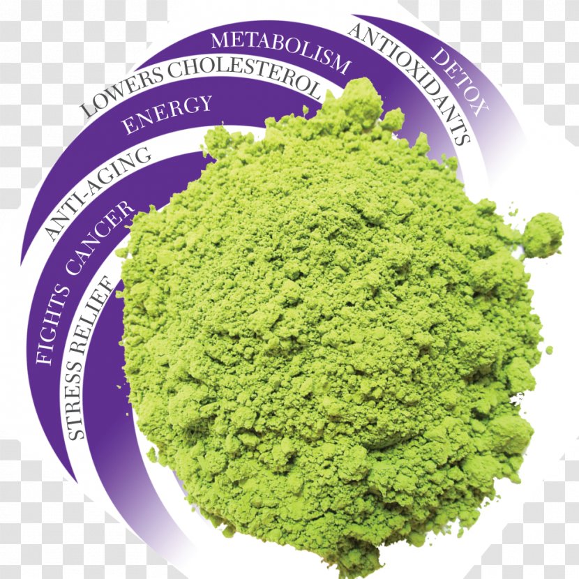 Green Tea Matcha Powder Plant - Benefits Transparent PNG