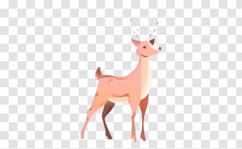 Christmas Elf - Card - Wildlife Fawn Transparent PNG