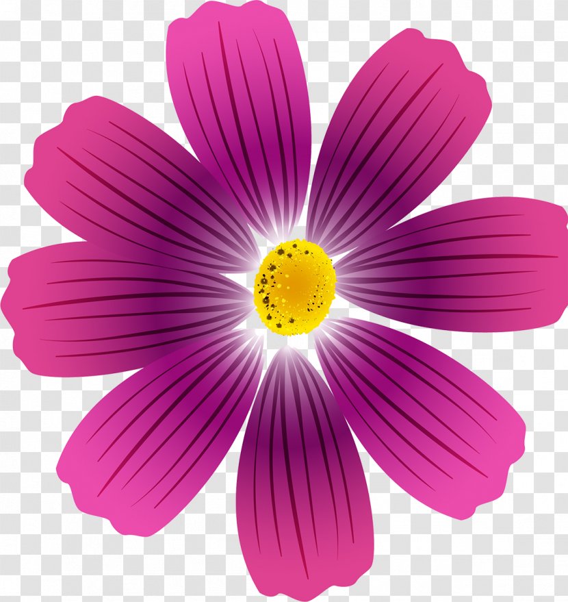 Flower Cosmos Painting Drawing Petal - Purple Transparent PNG