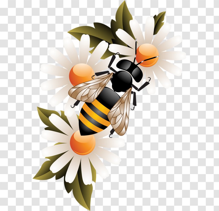 Honey Bee Beehive Clip Art - Royaltyfree Transparent PNG