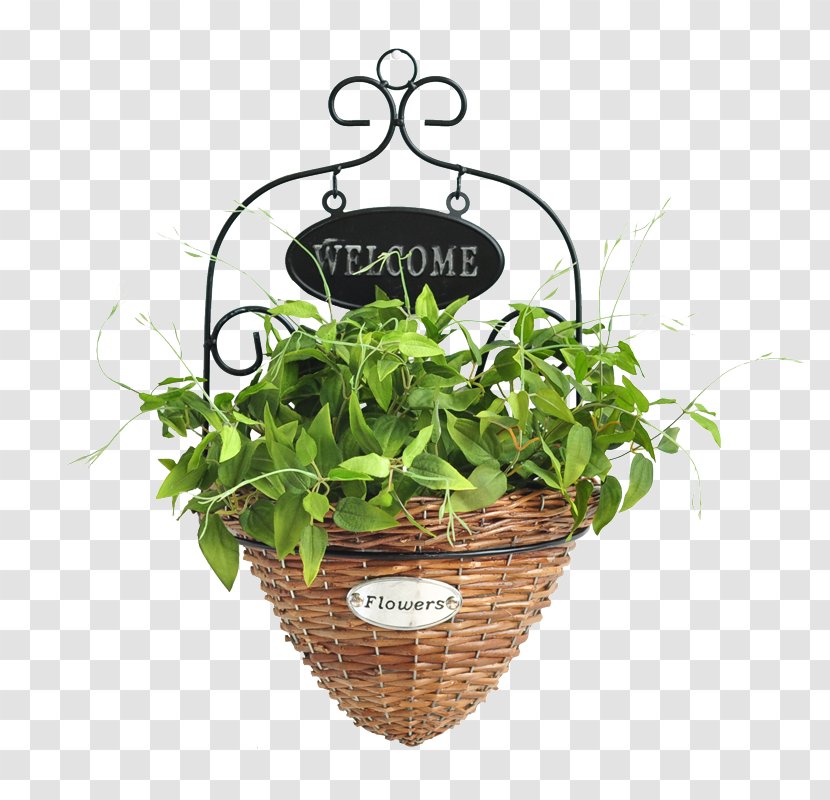 Wreath Leaf - Flora - Acacia Bamboo Basket Vine Leaves Transparent PNG