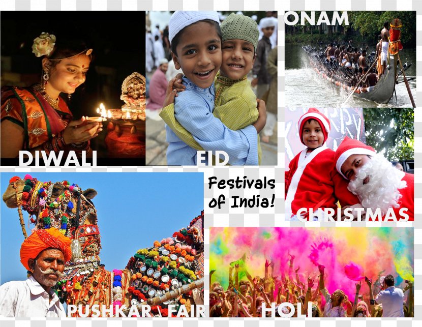 Elephant Festival India Holi Collage Transparent PNG