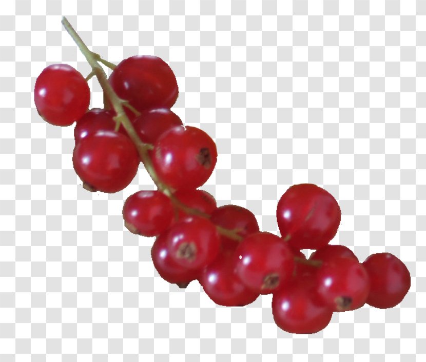 Grape Zante Currant Redcurrant - Schisandra Transparent PNG