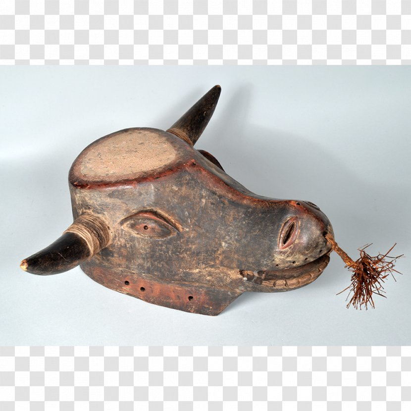 Snout - Artifact Transparent PNG