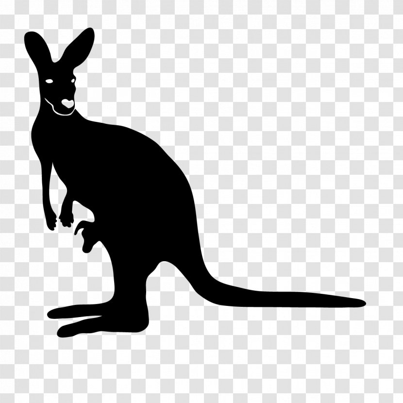 Whiskers Kangaroo Australia Mammal - Silhouette Transparent PNG